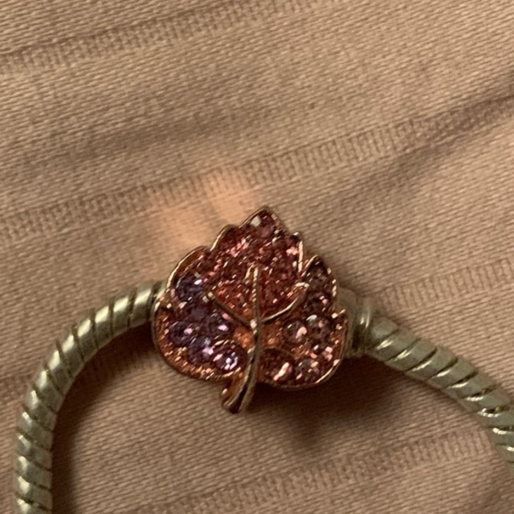 Lot of 4 Assorted Pandora Charms